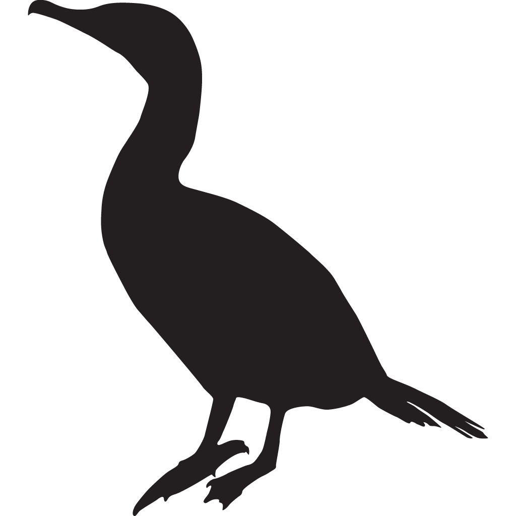 Anhingas Silhouette